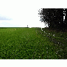 Photo Field 25 Landscape