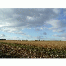 Photo Field 7 Landscape