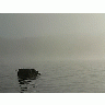 Photo Lake Rock In Morning Mist 3 Landscape title=