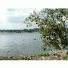 Photo Tree On Lake Rock Shore Landscape title=
