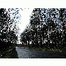 Photo Road 3 Landscape