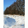 Photo Water Stream Hidden Under Snow Landscape title=