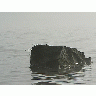 Photo Lake Rock In Morning Mist Landscape title=