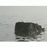 Photo Lake Rock In Morning Mist Landscape