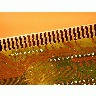 Photo Integrated Circuits Object