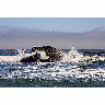 Photo Ocean 9 Ocean title=