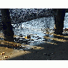 Photo Pier Ocean title=