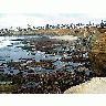 Photo Tide Pools Ocean title=