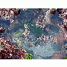 Photo Tide Pools 4 Ocean title=