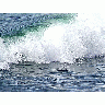 Photo Wave 5 Ocean