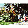 Photo Stilt Bird Guy People title=