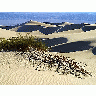 Photo Sand Dunes 7 Travel