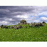 Photo Carrowmore Travel title=