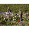 Photo Standing Stone Travel title=