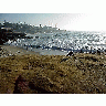 Photo La Jolla Cove 6 Travel title=