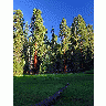 Photo Round Meadow Travel title=