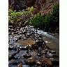 Photo Zion Narrows 15 Travel title=