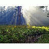 Photo Meadow 7 Travel title=