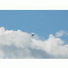 Photo Airplane Vehicle