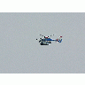 Photo Police Helicopter 2 Vehicle