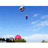 Photo Balloons Vehicle