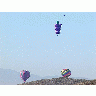 Photo Balloons 2 Vehicle