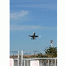 Photo Airplane Taking Off 3 Vehicle