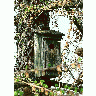 Photo Old Wooden Nesting Box Other