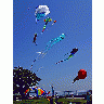 Photo Kites Flying Other title=