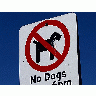 Photo No Dogs Allowed Other title=