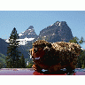 Photo Plush Marmot Other title=