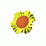 Logo Nature 136 Animated title=
