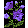 Logo Nature 069 Animated title=