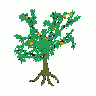 Logo Nature 042 Animated title=