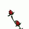 Logo Nature 128 Animated title=
