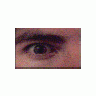 Logo Bodyparts Eyes 037 Animated title=