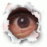 Logo Bodyparts Eyes 057 Animated