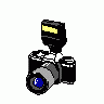 Logo Tech Film 014 Animated