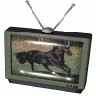 Logo Tech Tv 022 Animated