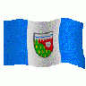 Logo Flags Plain 161 Color