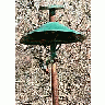 Photo Small Woodpecker And House Sparrow On Birdfeeder Animal title=