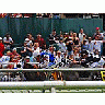 Photo Small Horse Racing Animal title=