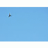 Photo Small Flying Swallow 8 Animal title=