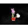 Photo Small Cactus 2 Flower