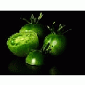 Photo Small Green Tomatoes 2 Food title=