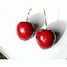 Photo Small Cherry 16 Food