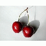 Photo Small Cherry 21 Food title=