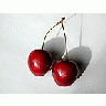 Photo Small Cherry 21 Food