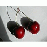 Photo Small Cherry 23 Food title=