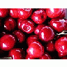 Photo Small Cherry 6 Food title=
